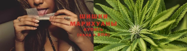 дурь Белоозёрский