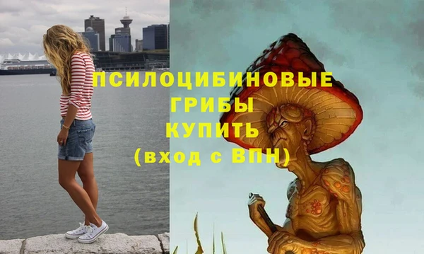 гашиш Белокуриха