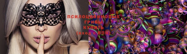 дурь Белоозёрский